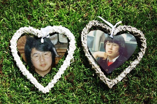 画像を等倍で表示します 画像